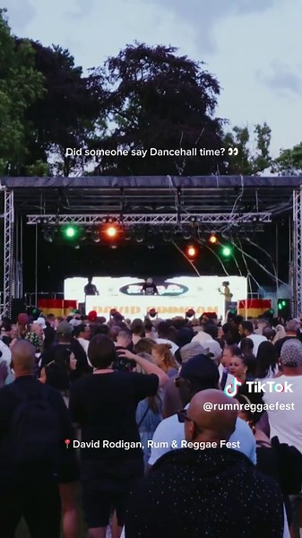 Reviving Reggae Vibes at Elvaston Castle Festival