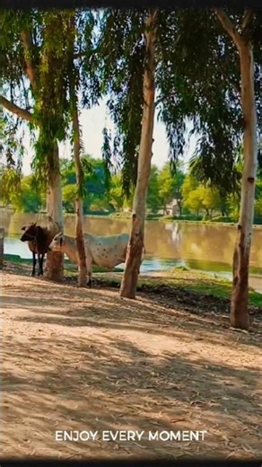 The Most Isolated Village on Earth