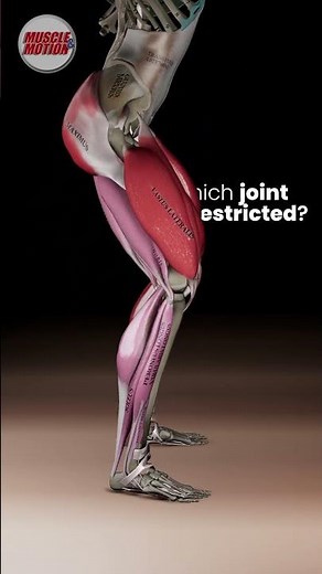 Test Your Movement Analysis Skills! 💥