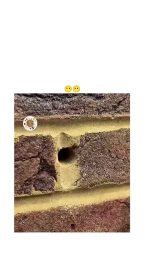 for fun 😊 on Instagram: "This X post from @Lifef1x features a 25-second DIY video tutorial on crafting a sturdy wall hook by drilling into brick mortar, inserting a wooden stirrer as a plug, and securing a wire loop with pliers for hanging items without commercial anchors.The hack leverages everyday materials for a quick fix, aligning with the account's focus on clever ideas, and has rapidly gained traction with 597,000 views and 645 likes since posting on December 15, 2025, highlighting demand