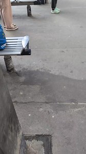 Calgary Transit has a new voice at the stations to give updates on when the next trains are arriving. It's also quite louder than announcements used to be. Is it an AI generated voice? Kind of sounds like it. #Calgary #CalgaryTransit #downtownCalgary #yyc | CMcalgary