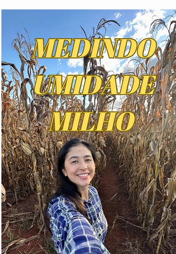 Avaliação da Umidade do Milho na Lavoura