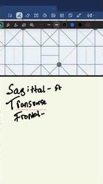 Anatomical body planes. #nursingstudent #nursing #nursingstudent #nursingeducation #medical