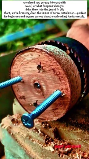 Woodworking Basics: Screw Installation in Wood |