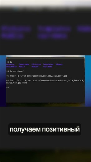 Checking the contents of a directory and folders 📁