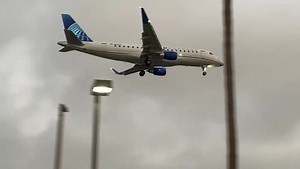 At In-N-Out Burger 🍔 with ✈️ view 🌴🏖️ In-N-Out Burger #losangeles #LAX #fypシ #innout #outing | Lily's Days