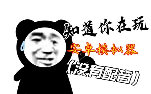 模拟器评测及入坑指南