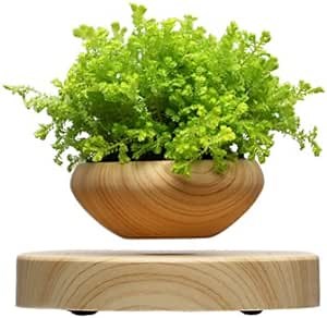 Levitating Air Bonsai Pot - Magnetic Levitation Suspension flower and air bonsai pot