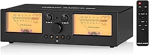 Douk Audio VU3 PRO Dual Analog VU Meter, 2-Way Amplifier/Speaker Switch, 2-IN-2-OUT Audio Switcher Box with DB Panel Display