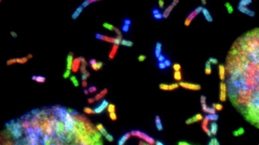 Scientists have finally filled in the last 8% of the human genome