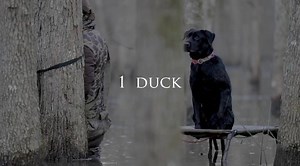 Tomorrow at 5pm cst, our good friend and Drake Creative team member Edward Wall will release his latest film “1 Duck”. Be sure to check out his page on here Wall Media or his Instagram page @edwall81 for the release. It’s definitely one that’ll get you all up in the feels, you won’t want to miss it! 🦆 🎥: Ed Wall | Drake Waterfowl Systems