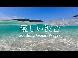 【自然音-波の音】穏やかなさざ波と 鳥のさえずりに 癒される / 海の波音 / 睡眠 瞑想 勉強 作業用 BGM 環境音 / リラックス・癒し / Nature Sounds / ASMR