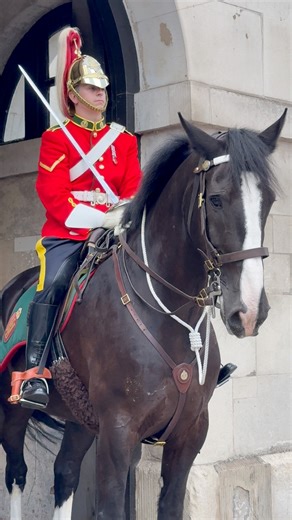 Remembering Lord Strathcona’s Horse (Royal Canadian 🇨🇦 at Horse Guards 🇬🇧 #london #horses #history #fblifestyle #reelsviral #tourist | Jeanet Almirante