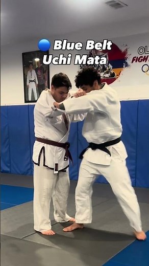Judo techniques by belt level 🥋