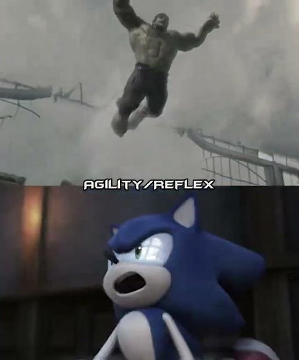 The Incredible Hulk VS Sonic The Werehog