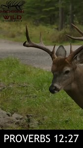 1.7K views · 23 reactions | The most commonly cited Bible verse related to hunting is Proverbs 12:27, which states: "The lazy do not roast any game, but the diligent feed on the riches of the hunt.". This verse essentially highlights the idea that hard work and diligence are necessary to reap the benefits of hunting. #GLORYTOGOD #HUNTING #deerhunting | Michigan Gone Wild | Facebook