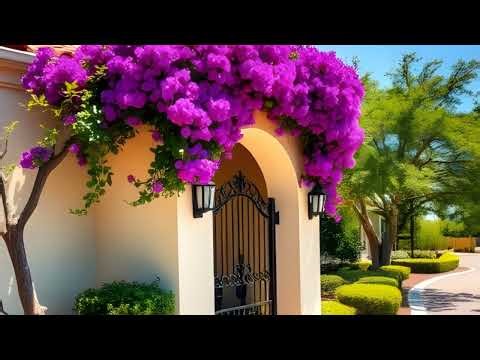 Landscaping Pros Share Their Top Picks for Front Yard Design