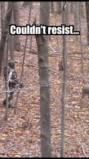 Rare piebald buck caught checking a hot doe decoy 👀🦌 Rut’s in full swing 😂 #deerhunting #rut #huntinghumor #piebaldbuck | Weekend Woodsmen