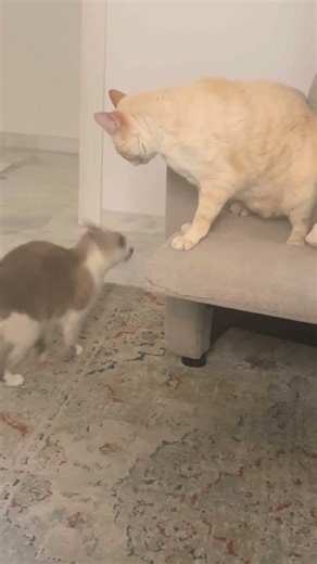 From lovers to enemies