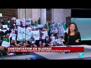 Algeria: "The Algerian army and its officers play a role" in the protest