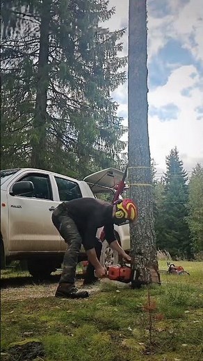 SAFETY FIRST: Precision Felling With Hydraulic Power 🌲