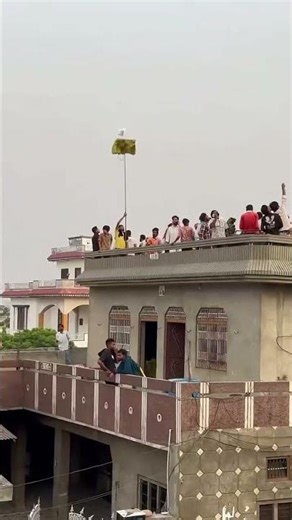 rajan_kashyap🕊️😄#trendingshorts #viralvideo #newvideo #kabutarbazi