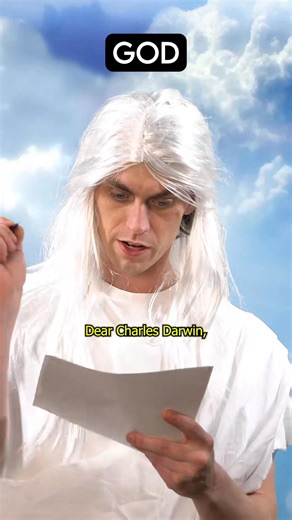 God makes newfoundland dogs | Jonny