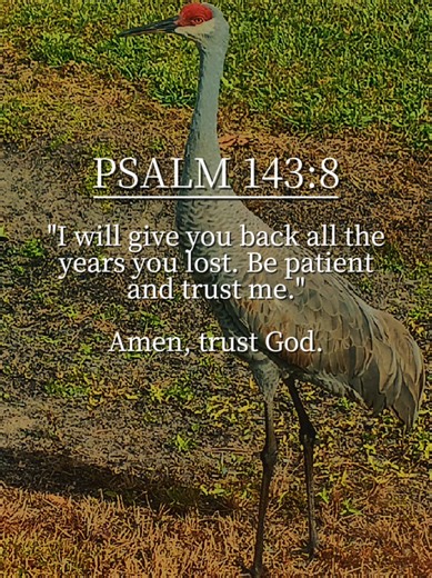 ◇Psalm 143:8◇ #fyp #christiantiktok #jesus #god #foryoupage | christiantok