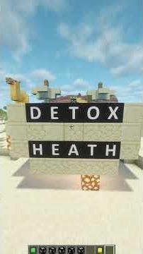 I gave LIL BRO Heath & He Couldnt Guess It #minecraft #puzzle