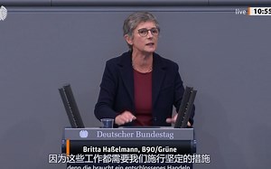 【中德字幕】【自翻】德国议院辩论 Die Grüne：至少在反对AfD上……我们是一致的-话题 制定防疫措施时议会的参与