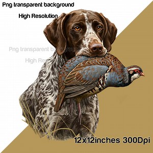 German Shorthaired Pointer Partridge Hunting Art (PNG, JPEG Digital Download) - Etsy