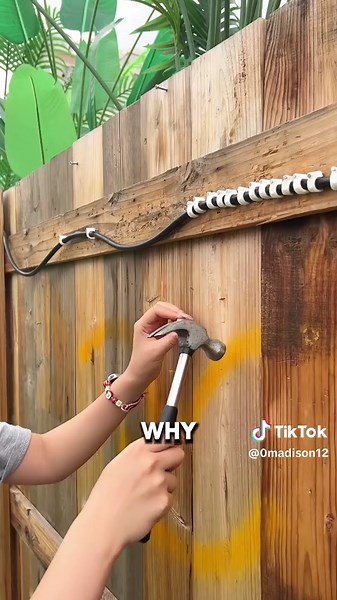 Upgrade Your Outdoor Lighting with Solar