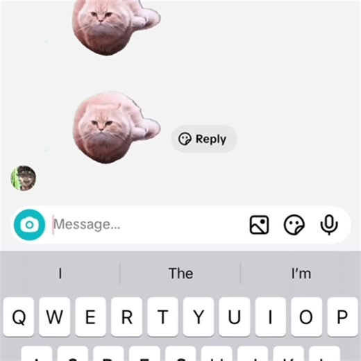 Shake Test: Understanding Its Significance