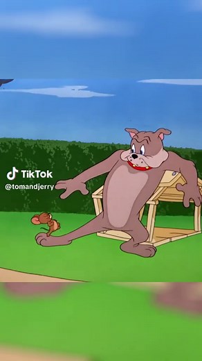 Tom and Jerry: What Shape Will Tom Become Next?