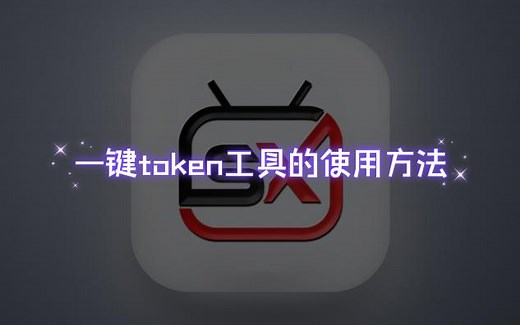 一键token获取工具的使用说明