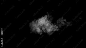 Abstract white smoke animation on a black background. Smoke, steam, explosion, fire, puff, steady vapors. Realistic smoke cloud from up and button with floating fog. Best for using in composition.