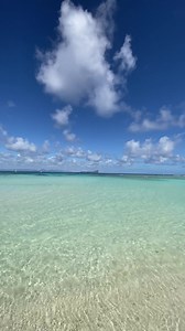 Ile Plate is a small island in the north of Mauritius. Amazing beaches and lots of corals it’s the best place to swim with sea turtles #mauritius #mauritiusexplored #mauritiusnow | Mauritius Explored