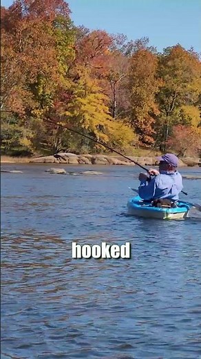 Easiest Rig To Catch Catfish: Andy Hooks Into A Strong River Flathead: FATKAT Best Catfish Rigs!