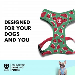 The coolest ZeeDog harnesses, leashes, and collars collection is now available at www.petwarehouse.ph! Free delivery within Metro Manila for orders over Php 995! | Pet Warehouse Philippines