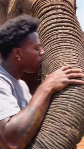 FIRST TO BACKFLIP OFF AN ELEPHANT🐘🐘 #ishowspeed | IShowSpeed