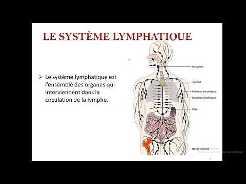 the lymphatic system (anatomy course number 8)