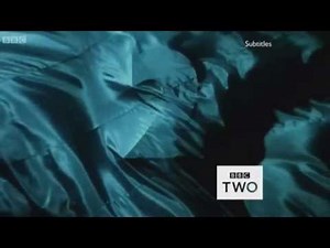 BBC2 Silk ident (2015)