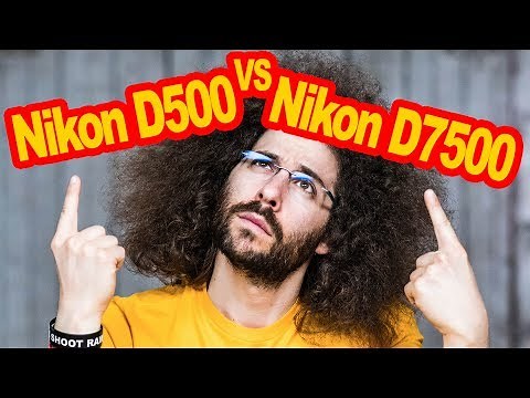 Nikon D500 VS Nikon D7500 Comparison: Which To Buy?