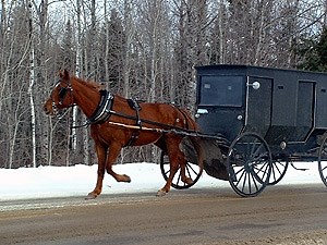 The Amish in Maine: 2024 Guide (11 Communities) - Amish America