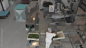 Tomato sauce production plant.flying over machinery and operators working