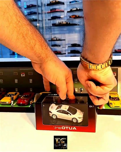 Pure Rally Design: 2005 Peugeot 307 WRC Plain Body (1/43 AUTOart) | The White Whale