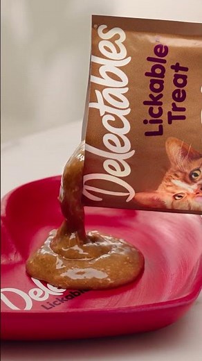 Delectables Lickable Treat Gravy: Rewind