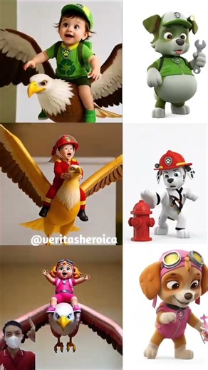 Paw patrol vs Eagle #pawpatrol #cartoon #usa