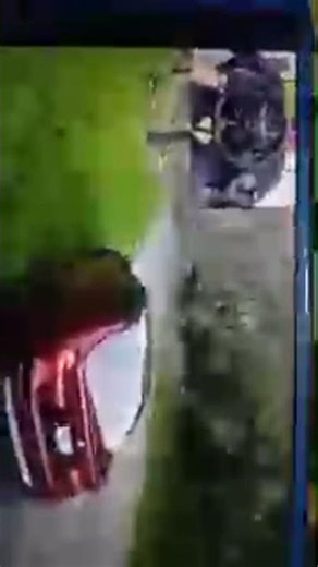 BMW M5 CS 1200HP - Forza Horizon 5 | Logitech G923 Steering Wheel #bmw #live live