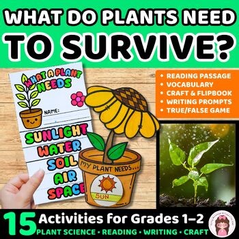 Plant Needs Activities Grades 1-2 | Reading, Writing, Crafts, Worksheets